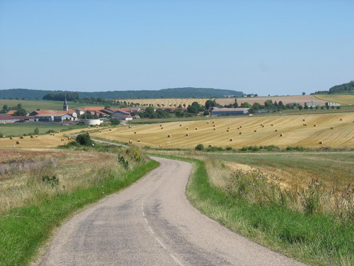 La Grange Aux Hirondelles Athienville Exterior foto